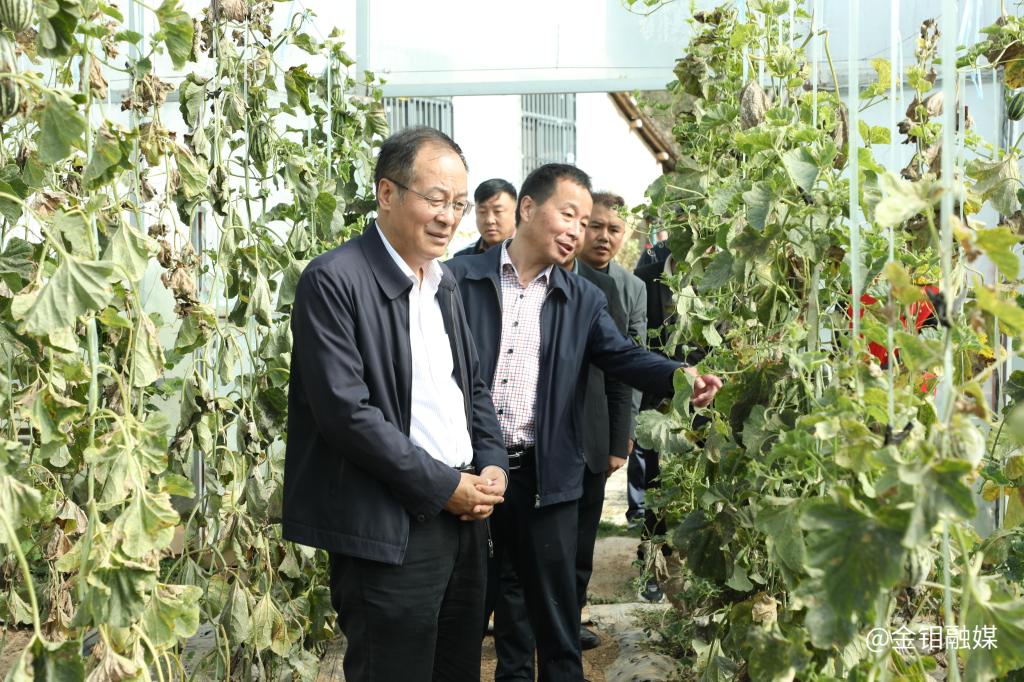 20241010-朱凌云深入東西坪村調(diào)研駐村幫扶工作并慰問困難群眾 (1).JPG